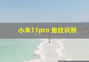 小米11pro 指纹识别